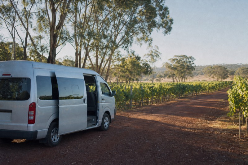 Harvest Full-Day Wine Tour