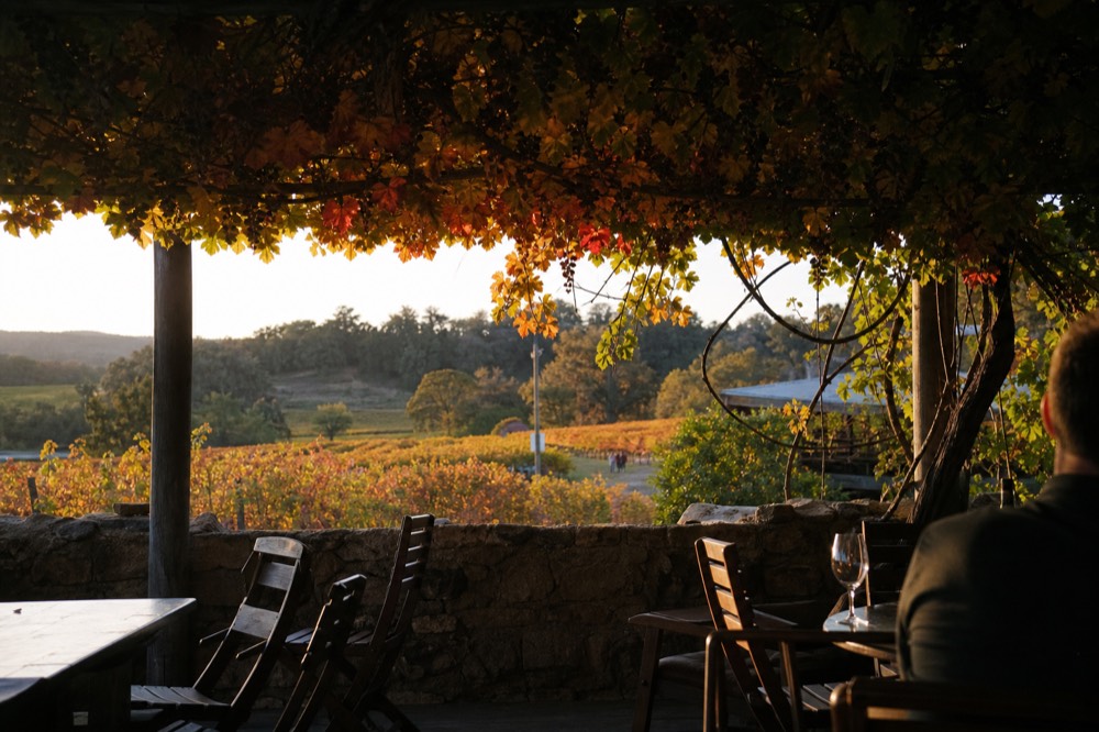 A cellar-door terrace looking over vines in autumn colour, empty timber chairs and a low stone wall, gentle diffused light, no branding or text.