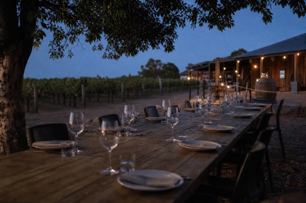 A long timber lunch table set among vineyard rows with plates and wine glasses, dappled shade, no people or signage.