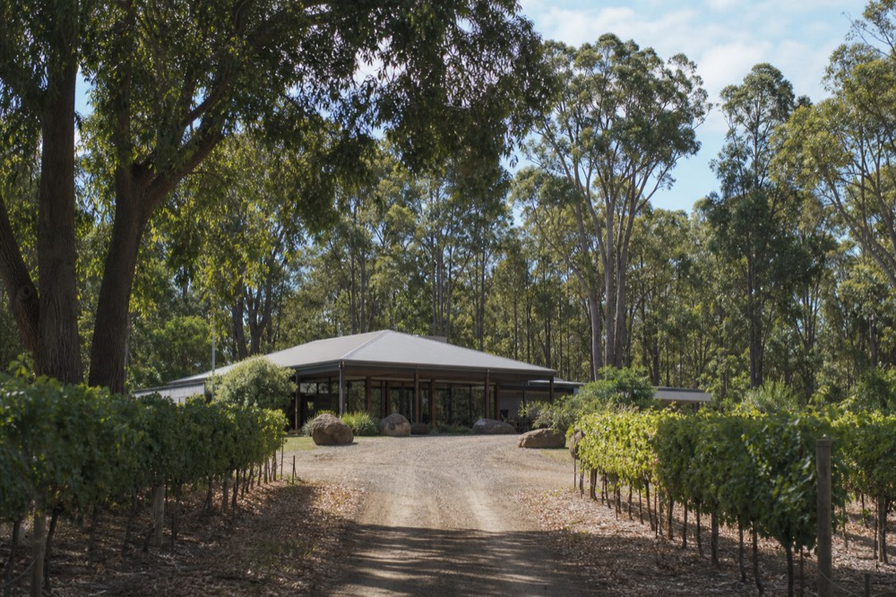 A single winery cellar door at the end of a gravel drive framed by vines and gum trees, midday light, no vehicles, signs or people.