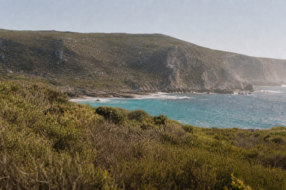 A rugged coastal headland with limestone cliffs above a turquoise bay, low coastal heath in the foreground, bright clear day, no people or signage.