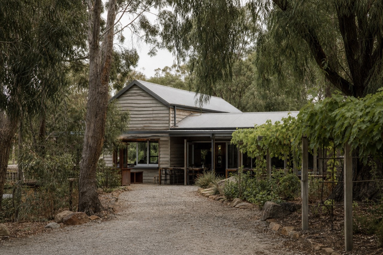 A small family cellar door at the end of a gravel driveway, low timber building framed by peppermint trees and vines, soft afternoon light, no signage or people.