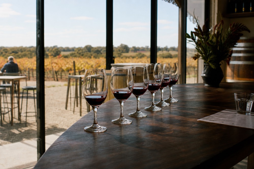 A cellar-door counter with a lineup of red wine in tasting glasses, dark timber and soft window light, a blurred vineyard beyond the glass, no branding or text.