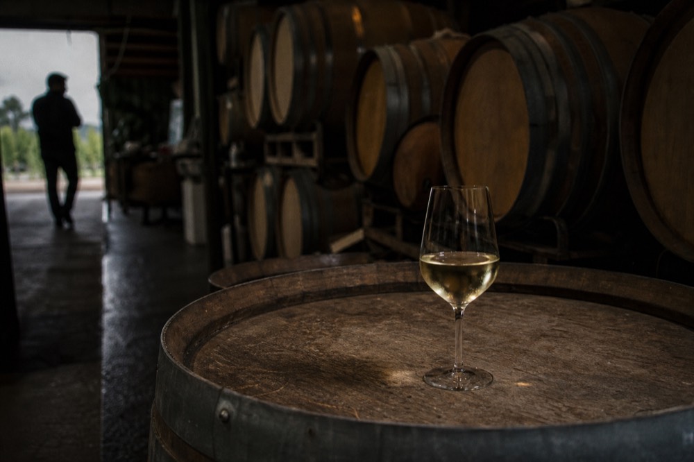 A single glass of pale golden white wine on a barrel head in a dim cellar, rows of oak barrels receding into shadow, no labels or text.