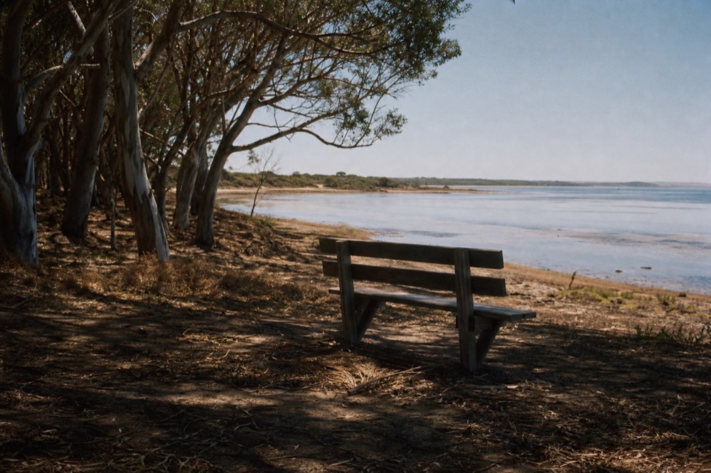 A quiet coastal foreshore at golden hour with calm shallow water, low dunes and scattered peppermint trees, an empty timber bench, no signage or people.