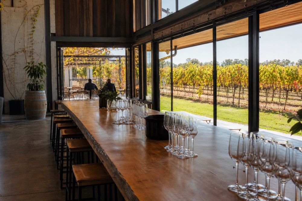 A long timber tasting bar in a light-filled cellar door with rows of empty glasses and a view to vines outside, warm daylight, no branding or people.