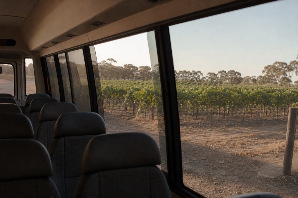 A comfortable minibus interior seen from inside looking out over vineyard rows through the window, empty seats, soft daylight, no branding or people.