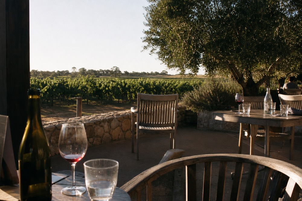 A relaxed cellar-door terrace overlooking vine rows in warm afternoon light, empty timber chairs and a low stone wall, glasses on a table, no branding or people.