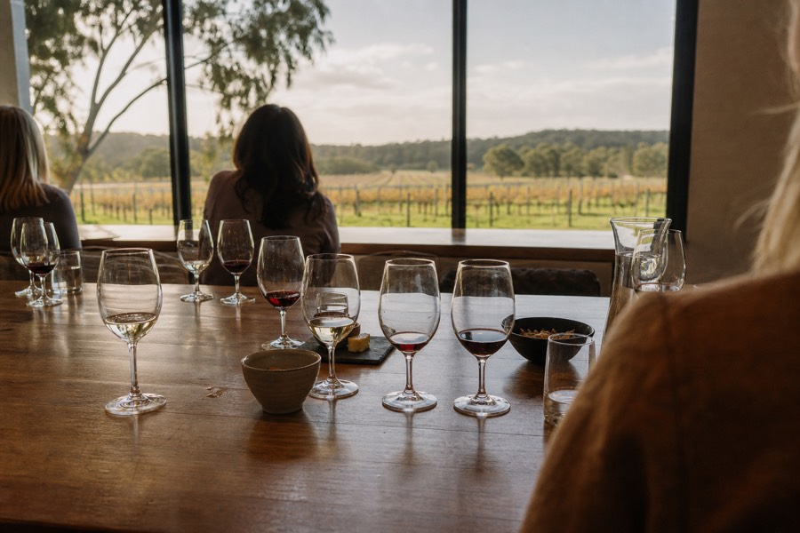 A relaxed cellar-door tasting bench with several wine glasses poured for a small group, vineyard rows visible through tall windows in warm light