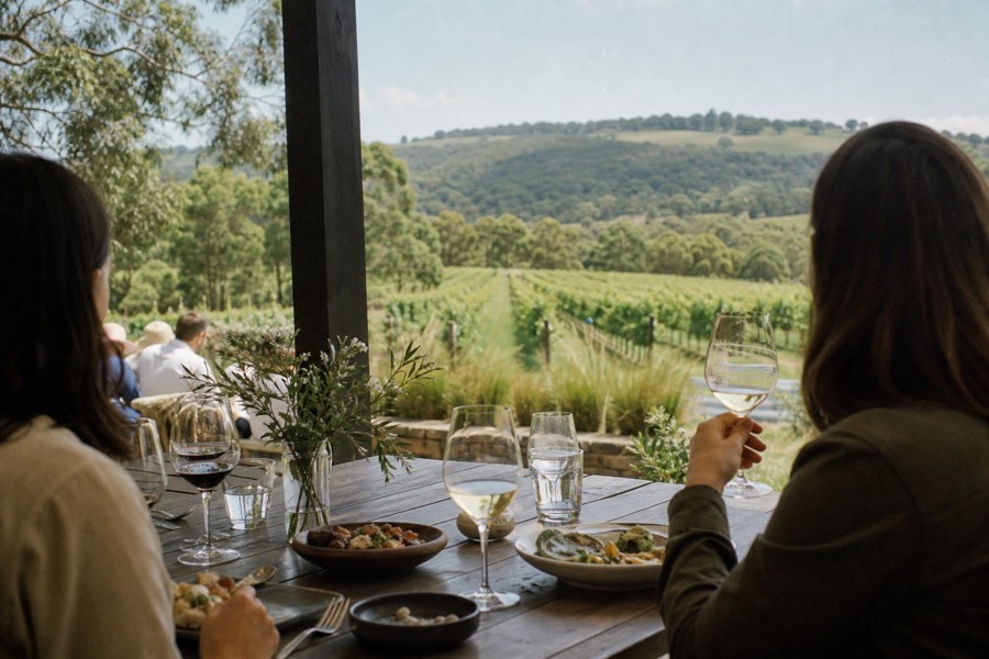 A small group at an unhurried sit-down lunch on a winery terrace, glasses of red and white wine on the table, vines beyond