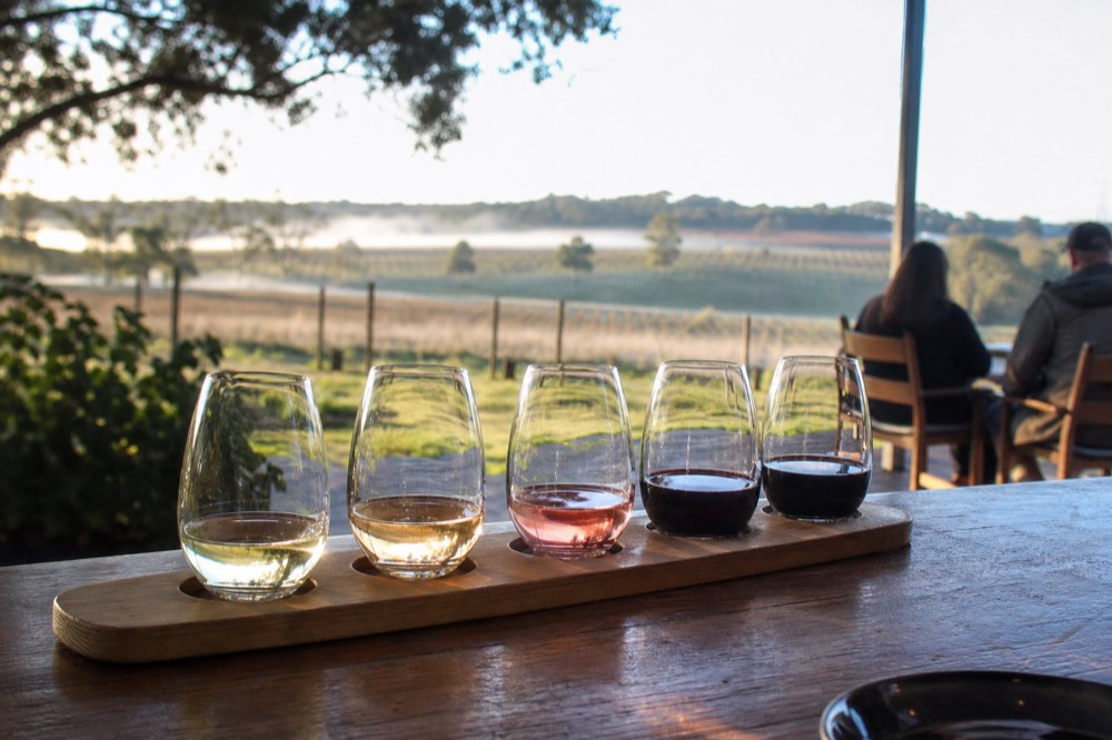 A wine flight on a wooden paddle board, small pours in a row from pale white to deep red, a printed-free tasting mat, soft daylight, no logos or text visible.