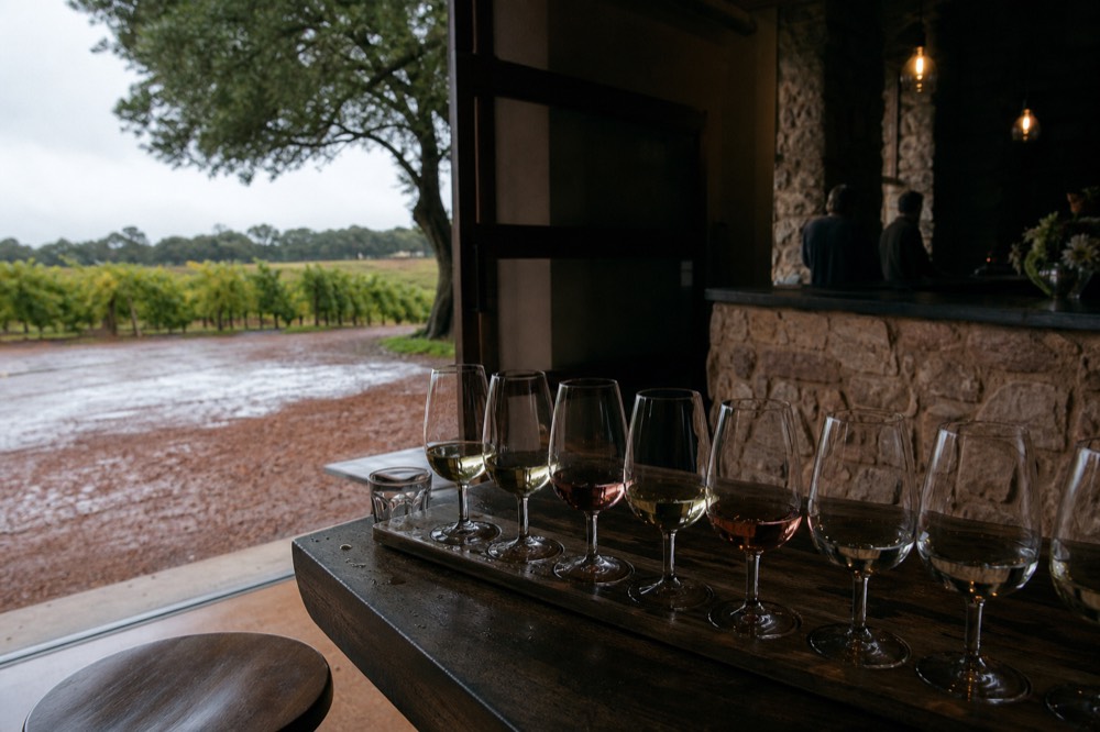 A cellar-door tasting bench with a row of unlabelled glasses holding small pours, a stone counter and soft window light, no signage or text.