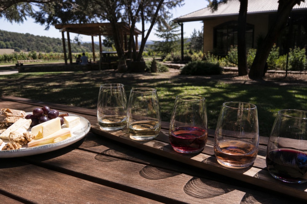 A wine flight on a wooden paddle board, small pours graded from pale white to deep red beside a plate of cheese, soft daylight, no logos or text.