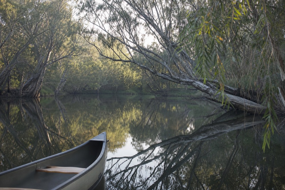 A quiet stretch of river reflecting overhanging paperbark trees, a small unbranded canoe gliding on still water, soft green light, no people or logos.