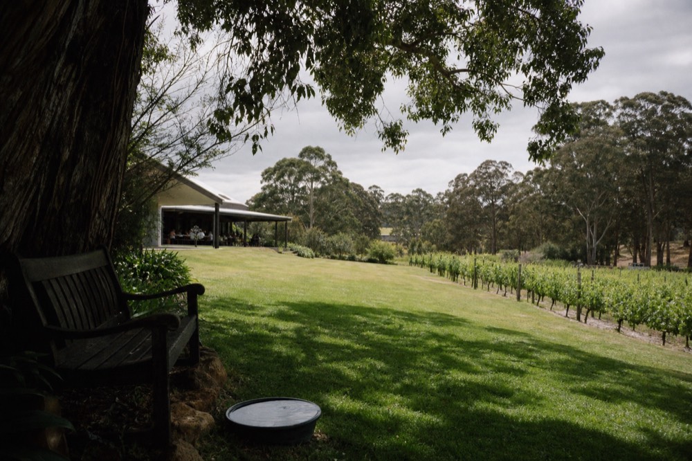 A broad green lawn running from a cellar-door building toward vineyard rows and gum trees, a water bowl and a shaded bench in the foreground, soft overcast light, no people or dogs.