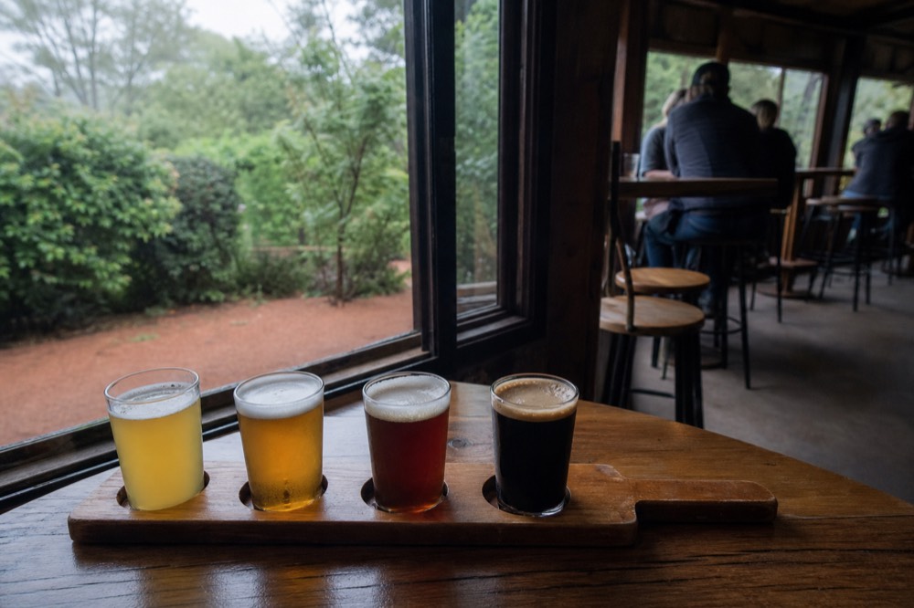 A rustic brewery paddle with small glasses of pale and dark beer on a timber bar, greenery through a window, no branding or text.