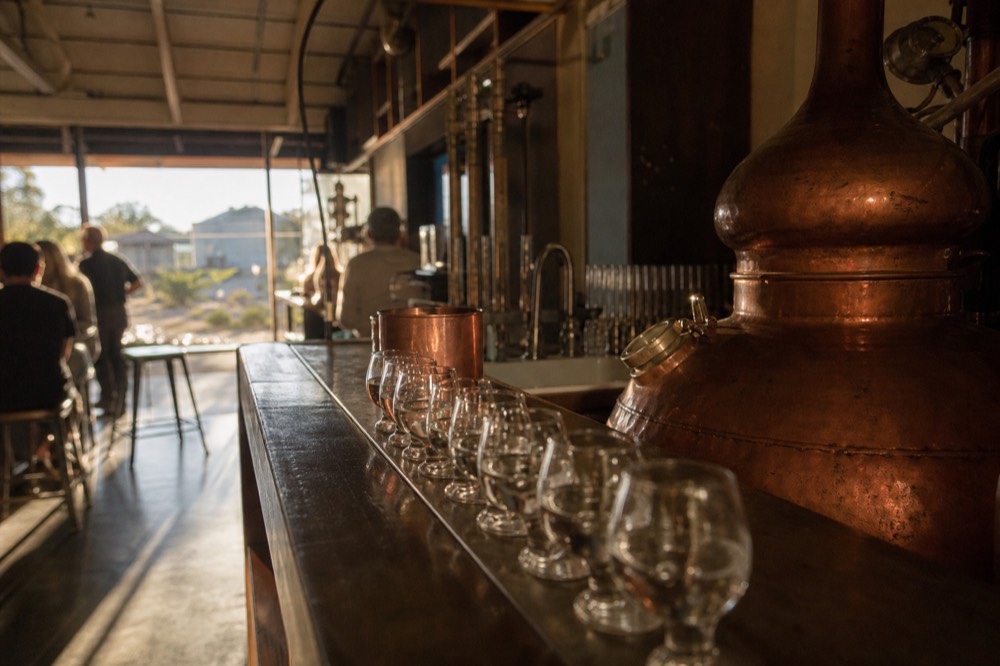 A row of small spirits glasses on a distillery counter beside a copper still, warm interior light, no labels or branding visible.