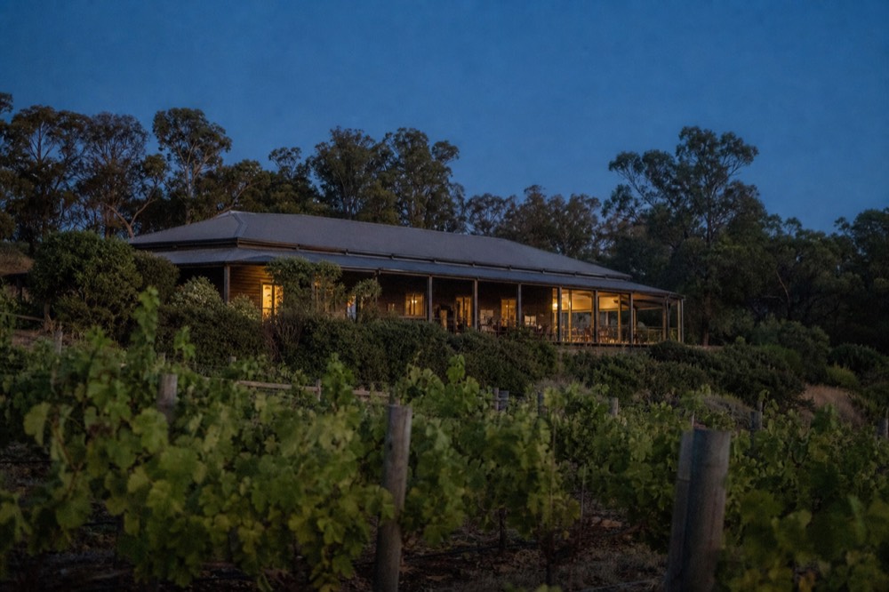 A low-slung guest lodge among vineyard rows at dusk, warm light in the windows, a veranda overlooking the vines, deep blue sky, no branding or people.