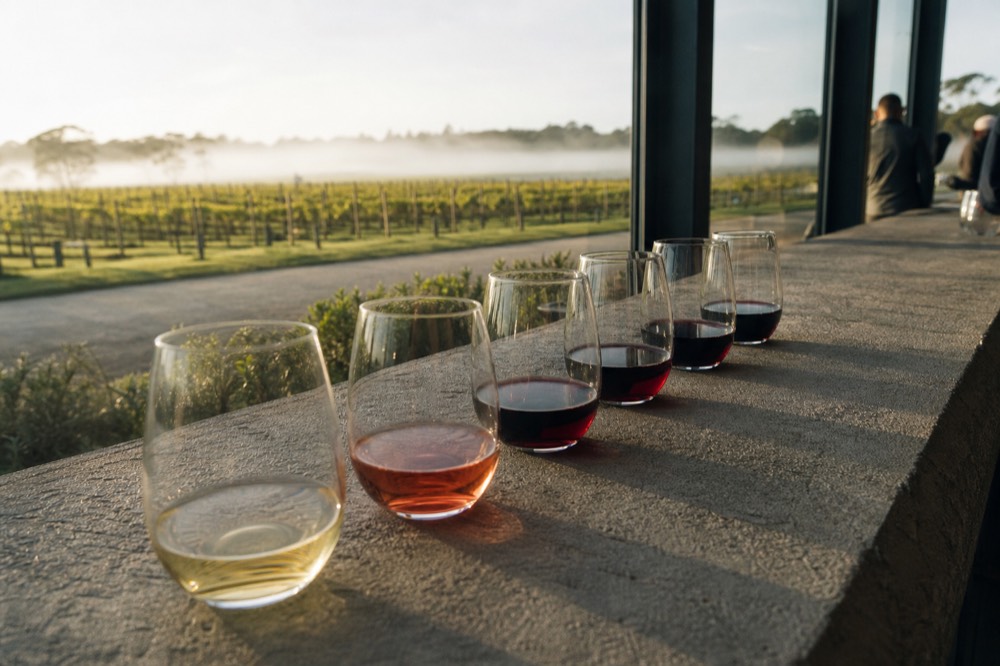 A row of small unlabelled wine pours on a stone tasting counter beside a window looking out to vines, soft natural light, no text or brand marks.