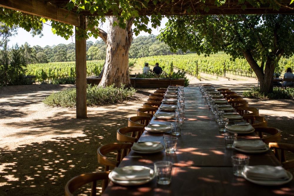 A long communal timber table set for lunch under a pergola beside vineyard rows, unbranded glasses and plates, greenery overhead, warm midday light, no diners visible.