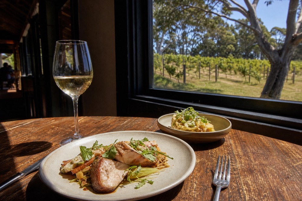 A plated two-course lunch on a timber table beside a window, a glass of white wine catching the light, vineyard rows visible outside, warm midday light, no branding or text, no people.