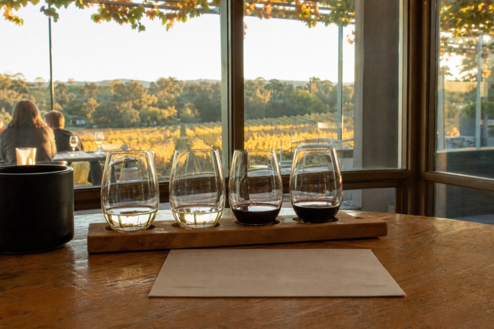 A tasting flight of small pours on a wooden paddle beside a menu card on a restaurant table, a vineyard visible through the window behind, warm daylight, no logos or readable text.