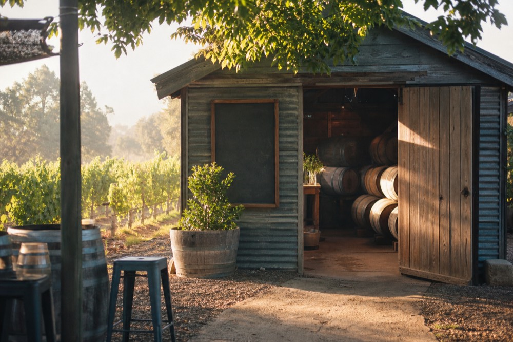 A modest timber-and-corrugated-iron cellar door among vine rows, a few barrels visible through an open door, a handwritten-looking chalkboard with no readable text, warm light, no people.