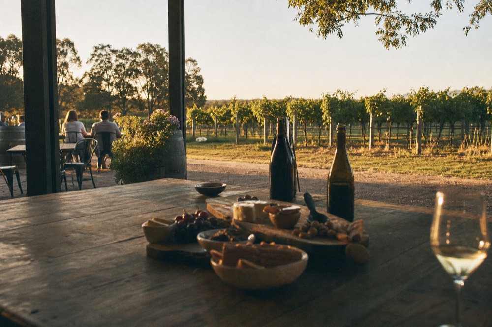 A relaxed outdoor tasting at a small family cellar door, a spread of local produce and unlabelled bottles on a rough timber table beside the vines, warm afternoon light, no diners or branding visible.