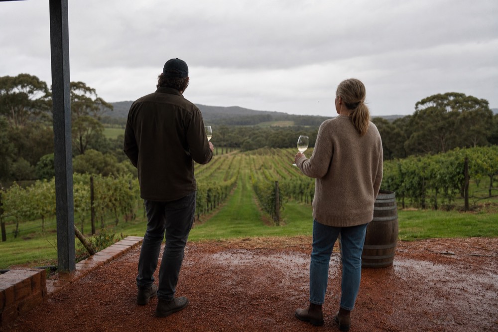Two people seen from behind on a cellar-door terrace looking over vineyard rows to distant hills, unbranded glasses in hand, warm light, faces not visible.