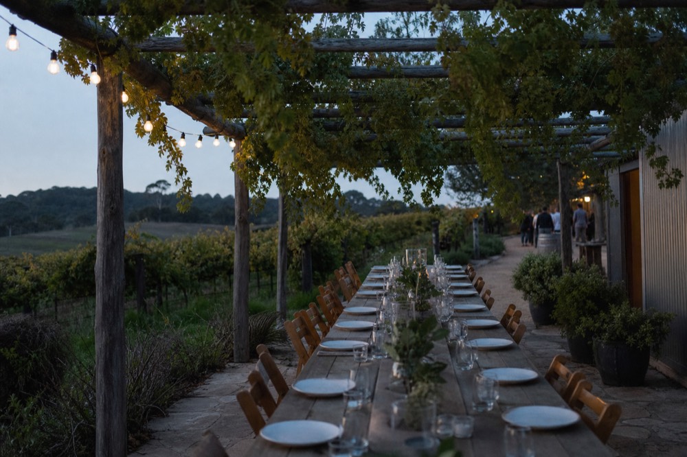 A long communal table set for a group under a pergola beside a vineyard, plates and unbranded glasses, greenery overhead, warm midday light, no diners visible.