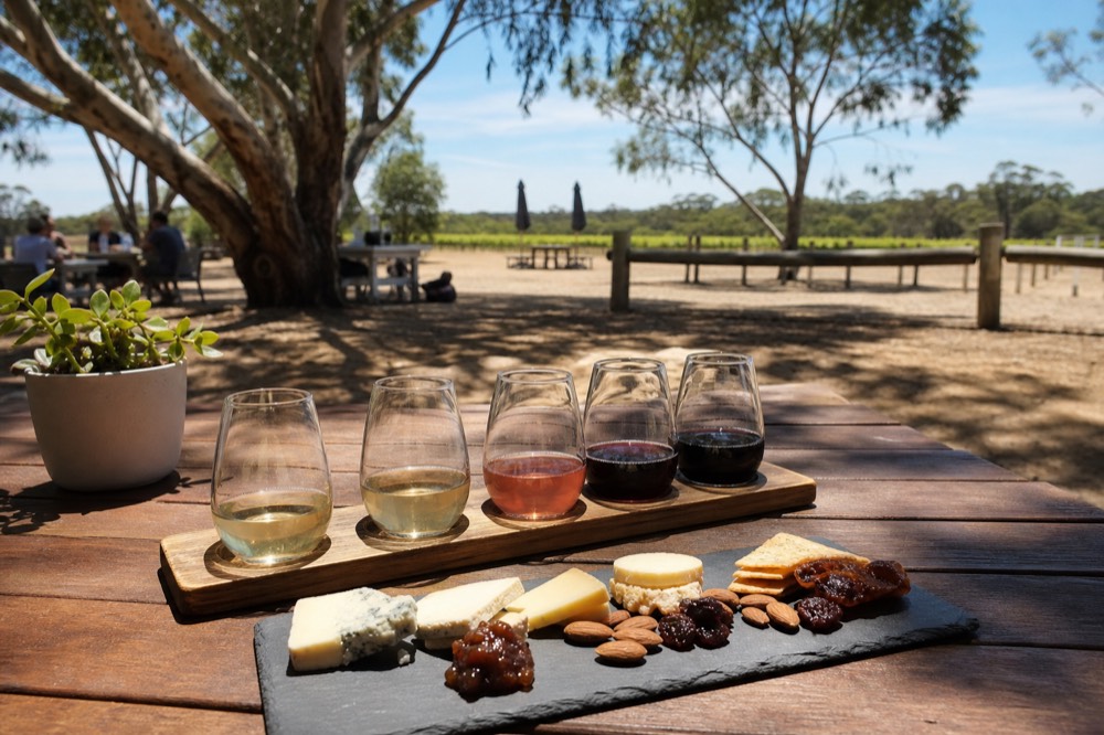 A wine flight on a wooden paddle, small pours graded from pale white to deep red beside a slate of cheese, soft daylight, no logos or text.